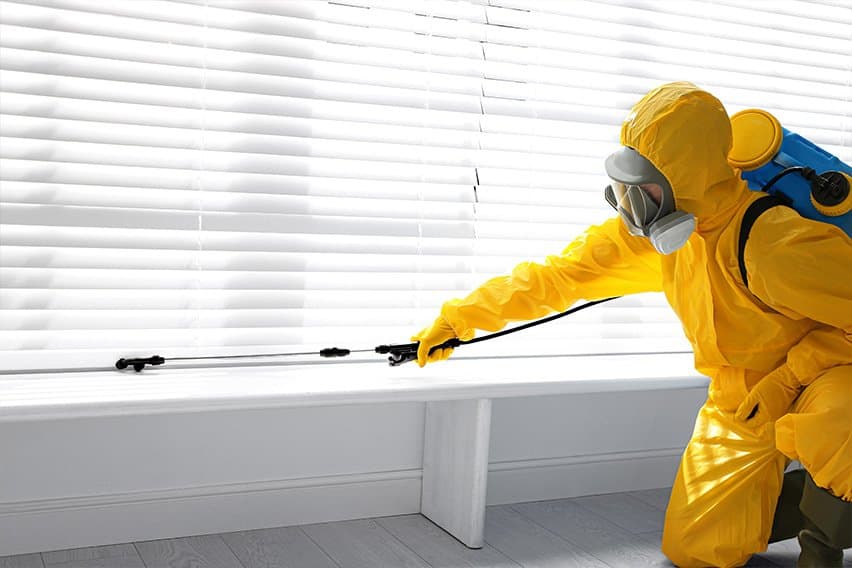 How to Start a Pest Control Business image