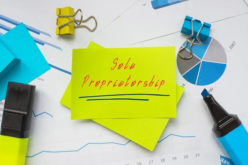 Top Sole Proprietorship Advantages and Disadvantages