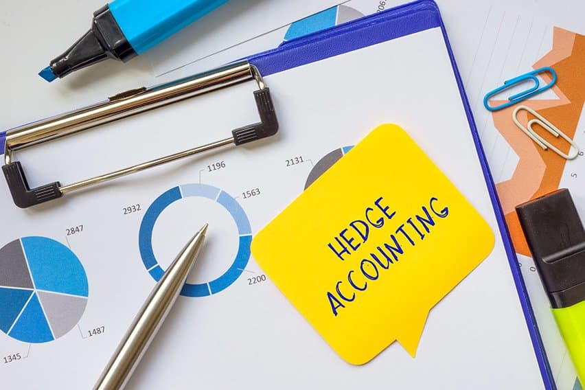 Hedge Accounting: Definition & Guide image