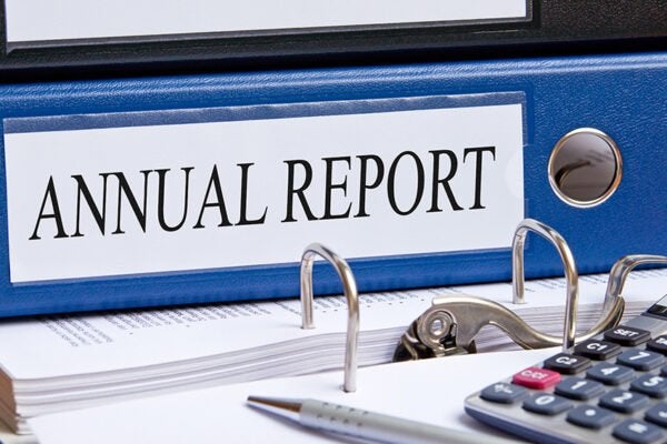 how to write an annual report essay